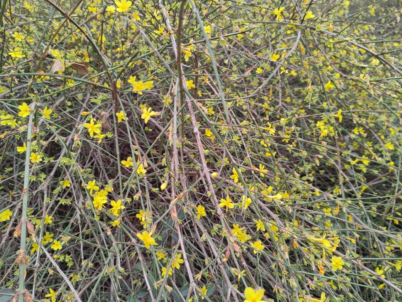 去了一商场，满满的都是人，满场的都是挤，人声鼎沸，叫声不断，时不时被碰撞，男厕所