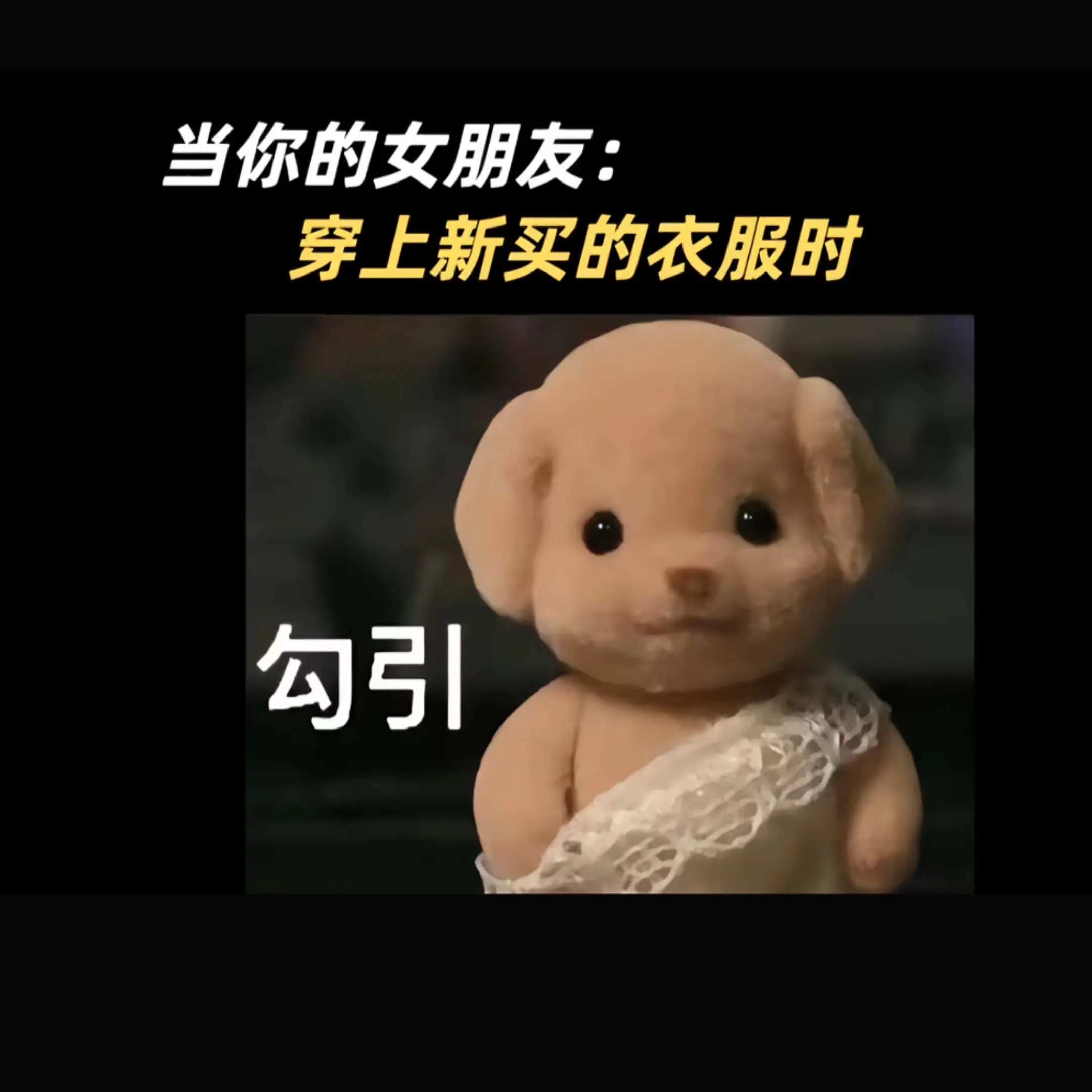 今天又对谁摇尾巴了  我的小狗。