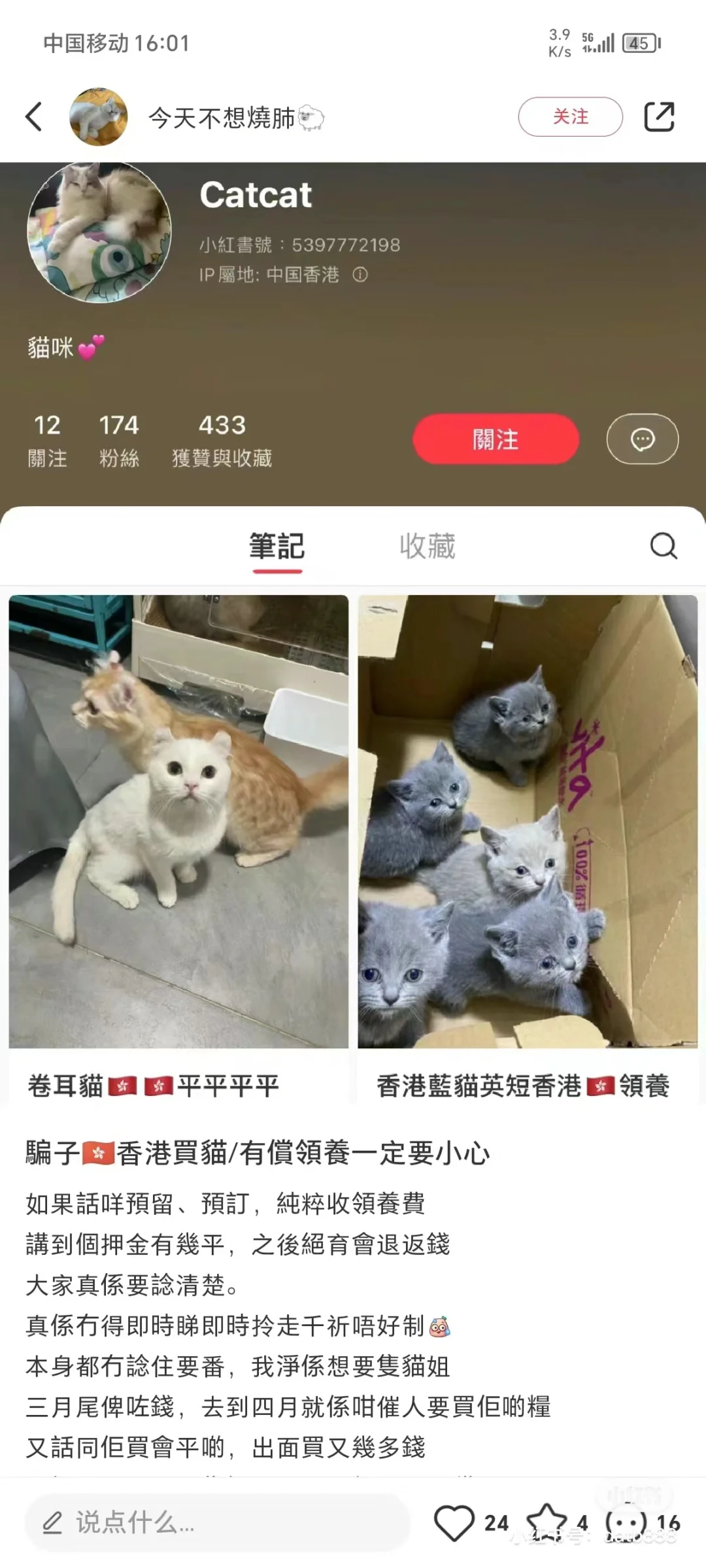 🇭🇰買貓被騙‼️世上怎會有便宜給妳撿