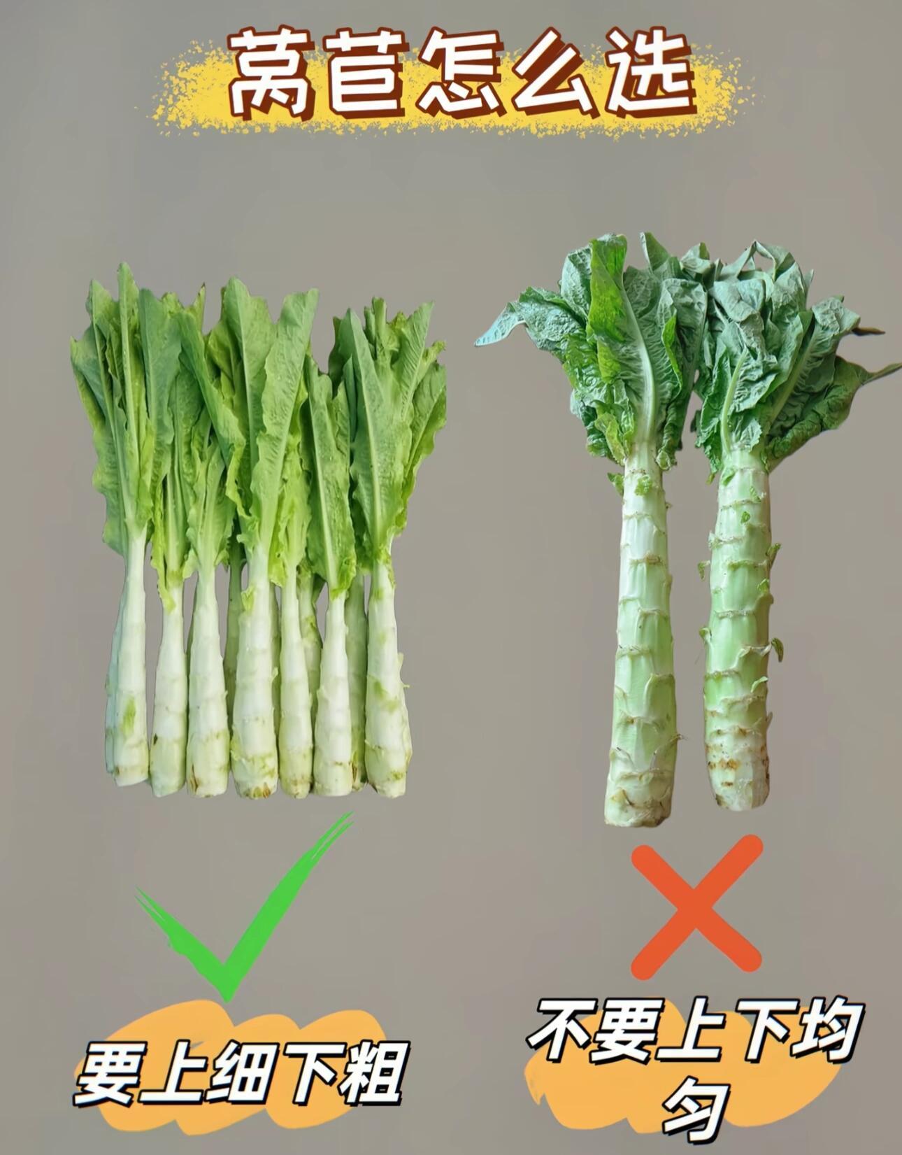 科普健康选蔬菜 