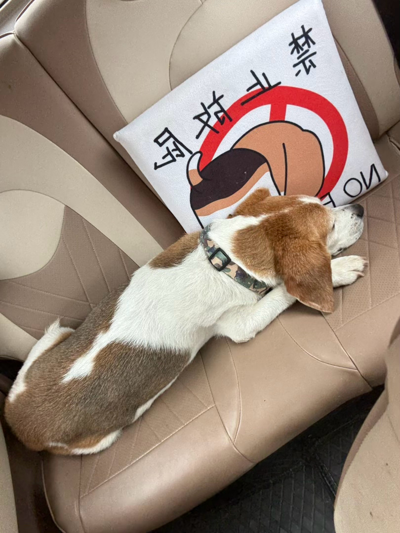 早上好 