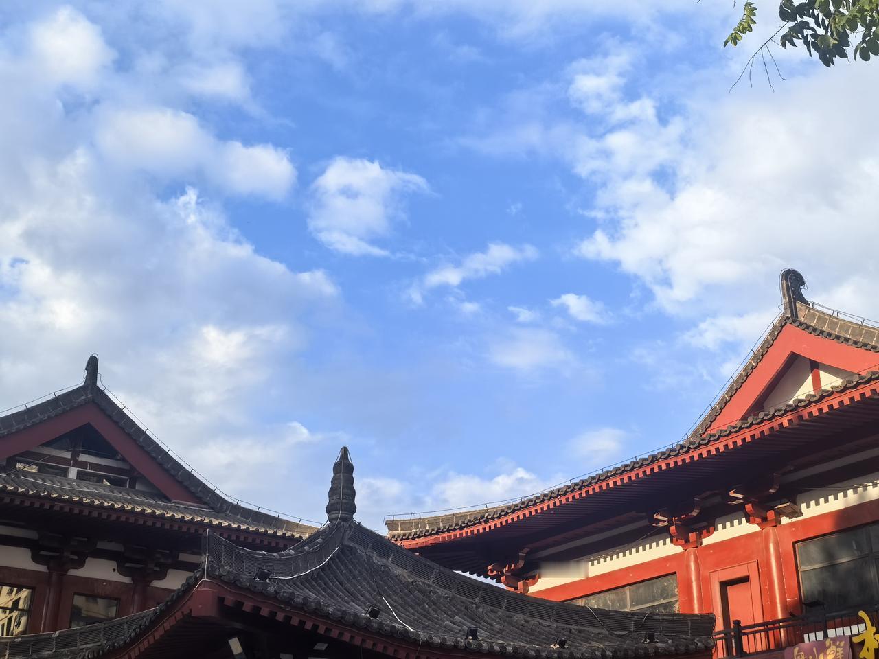 盼来一场及时雨，这天像有雨的样子吗？

[玫瑰][心][玫瑰]

天气预报这玩意