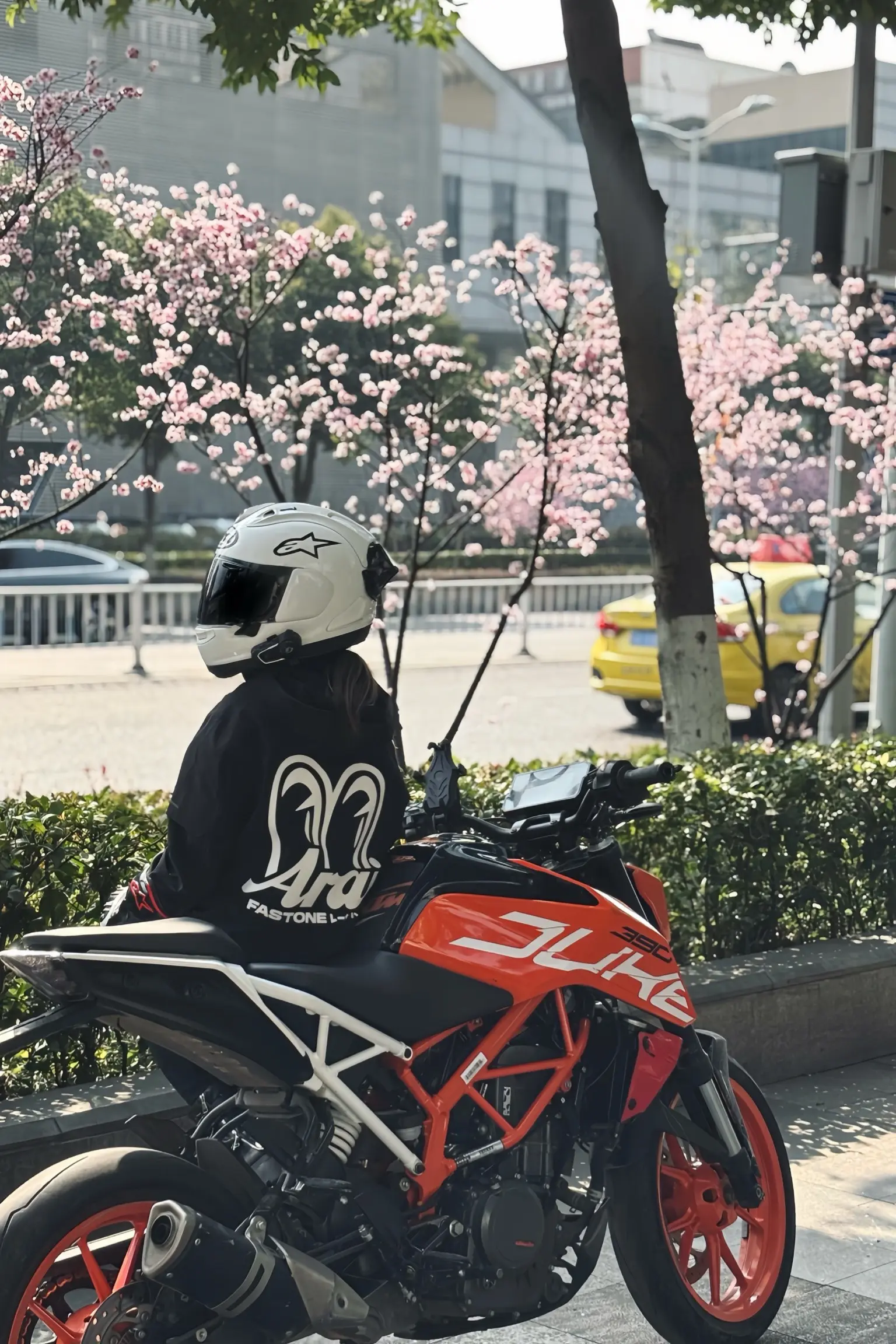 这世上 除了自己 都是别人