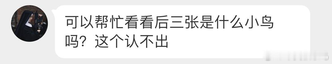 #鸟粉投稿# 学飞的红头长尾山雀宝宝放树上让它妈妈过来找它就行喽 ​​​