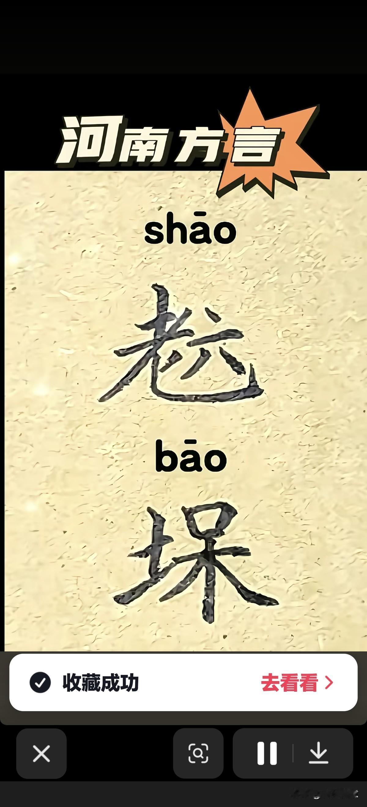 河南方言，老㙅，你懂吗？