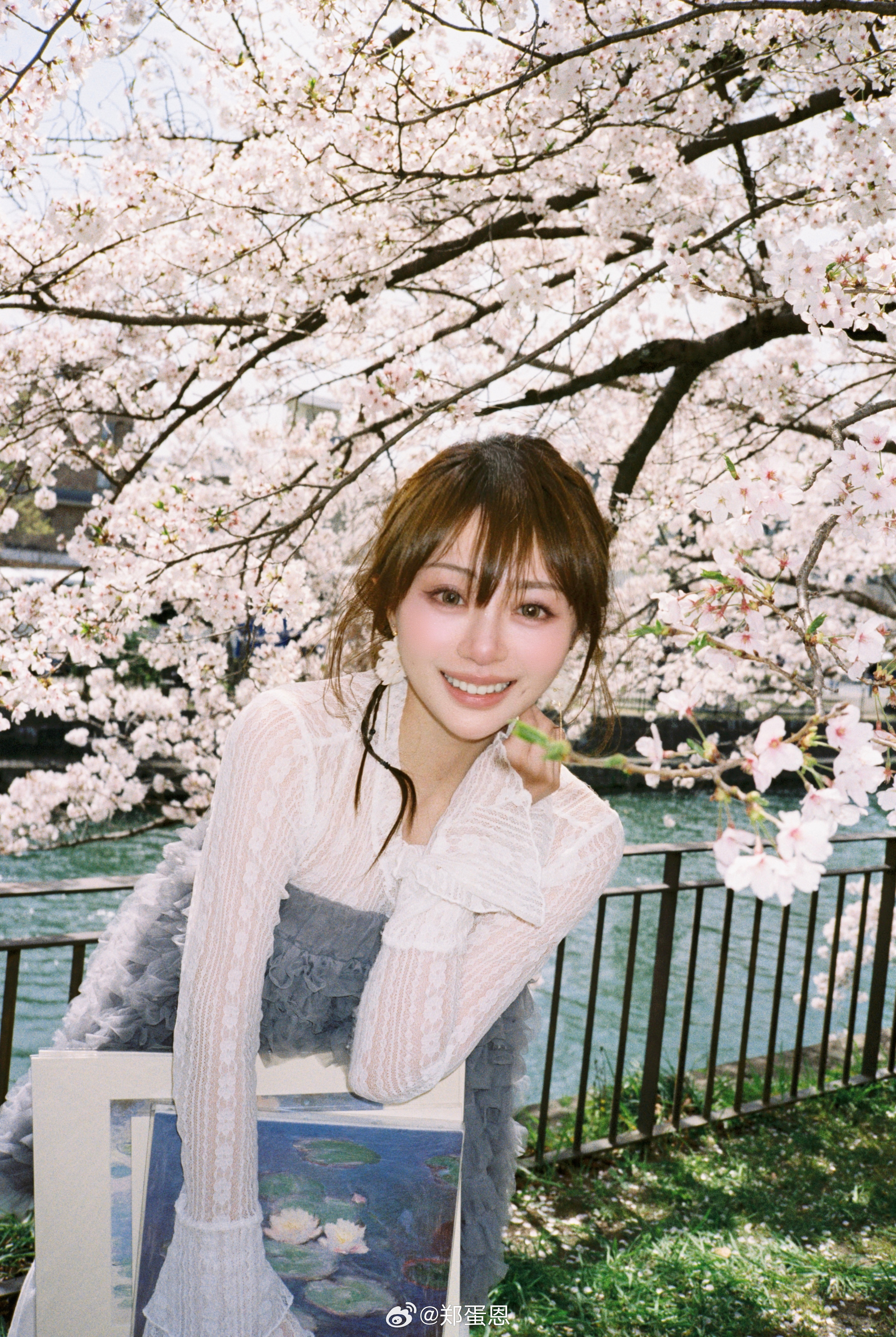 又见春天🌸～翻到陈皮在京都樱吹雪时给我拍的胶片那阵转瞬即逝的樱花雨🎐和那个看