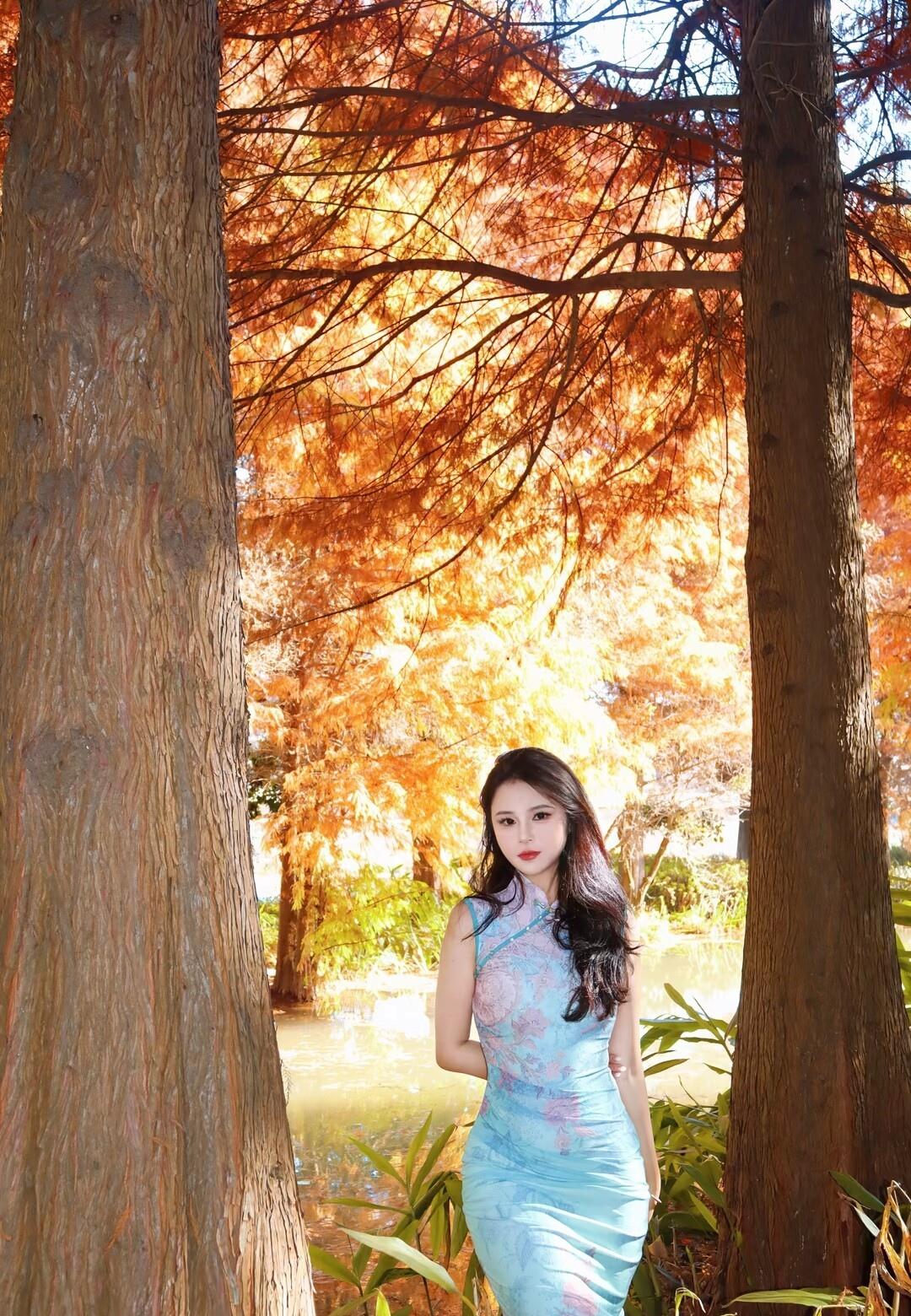 山色浅深随夕照，江流日夜变秋声