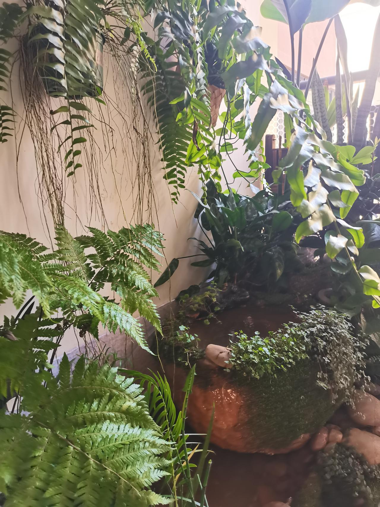 相册里的花花草草