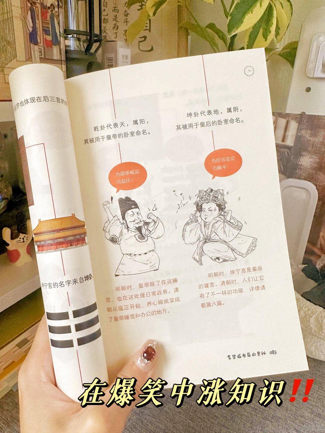 笑不活了！故宫其实就是豪华版的四合院！