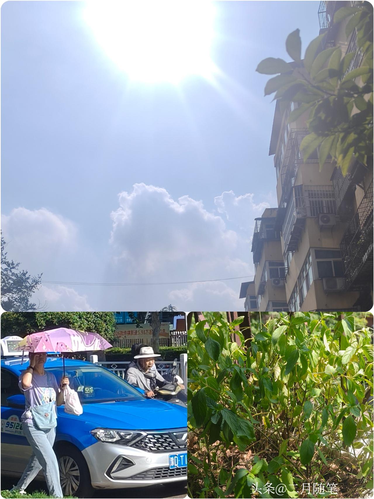 每年都是这样的，
临近3伏天的前几天，
气温那是高的离谱，
想要让人受不了的感觉