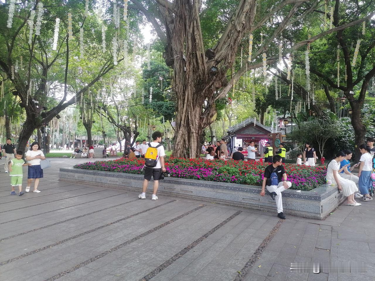 好大的榕树，绽放的鲜花，树下乘凉的游客，休闲的人们，此处人来人往，不觉已到租船处
