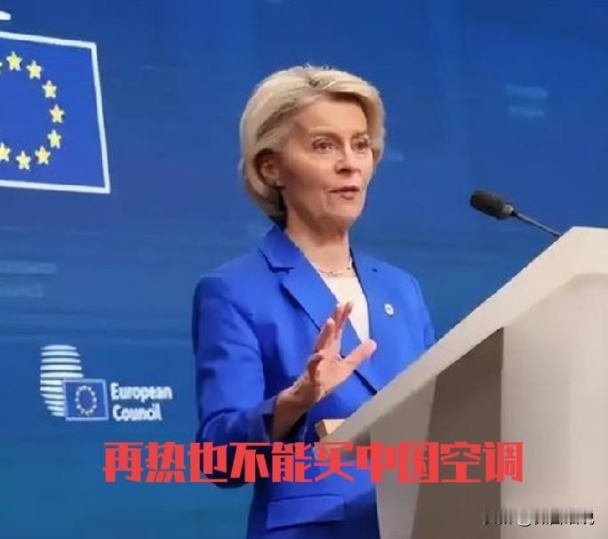 欧洲已经由反华彻底走向恐华，只要跟我们一沾边，他们就会无脑的反对，不顾自己得失。
