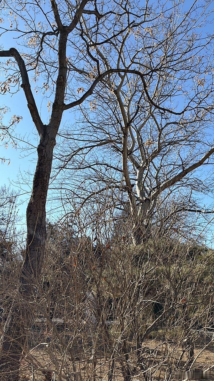 路上 习惯性打开radio一阵刺啦声 一看是 887…你懂那种怅然若失的感觉么 