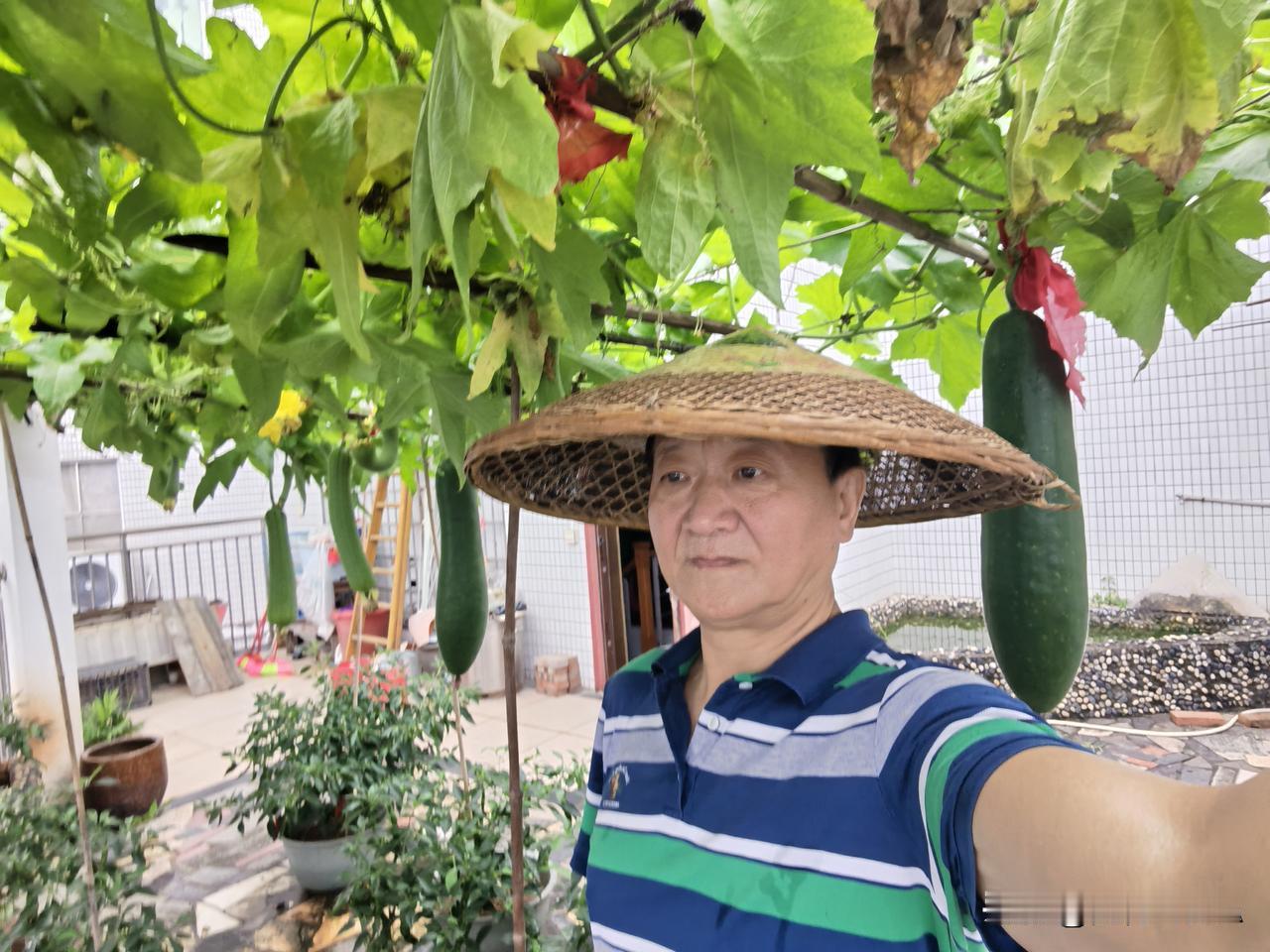 这节那节，又迎来了“以地生财”节。
土地是人们居住与种植生产农作物的生存条件，6