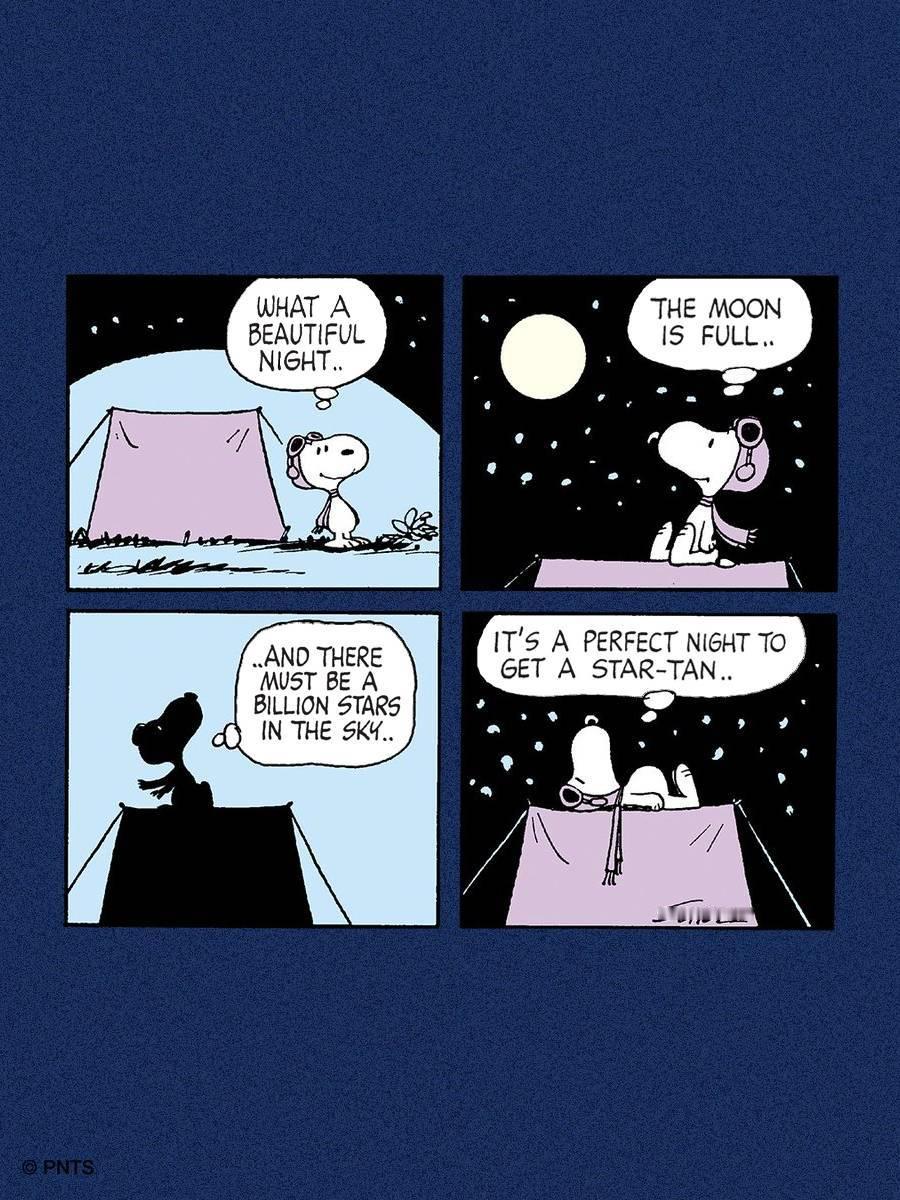 史努比：“多美的夜晚啊……月圆如盘……天上一定有亿万颗星星……简直是个晒星光浴的