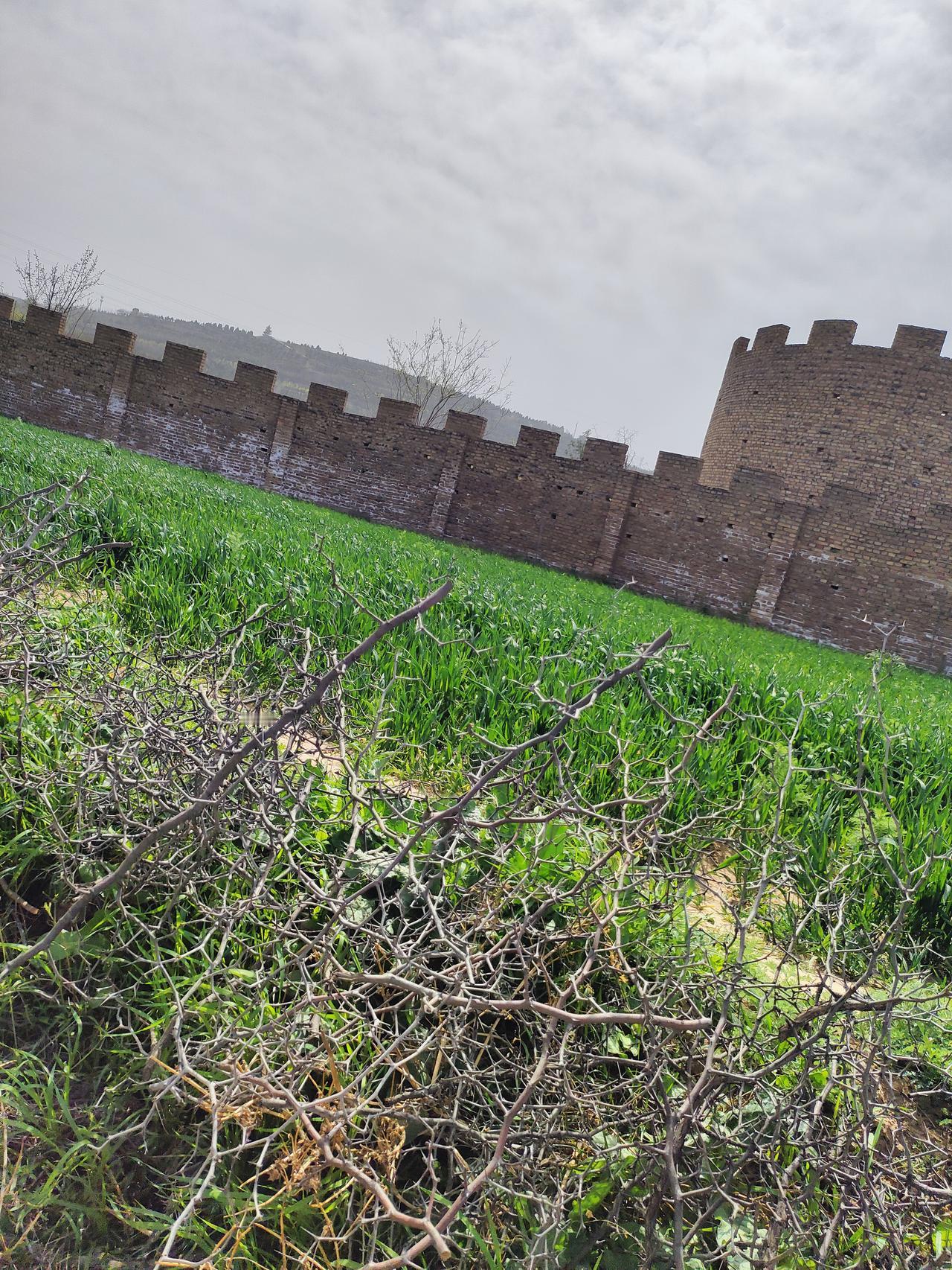 人到半生，慢慢懂得：最好的生活，是一半清醒，一半释然
 
人活到半辈子，回头看看