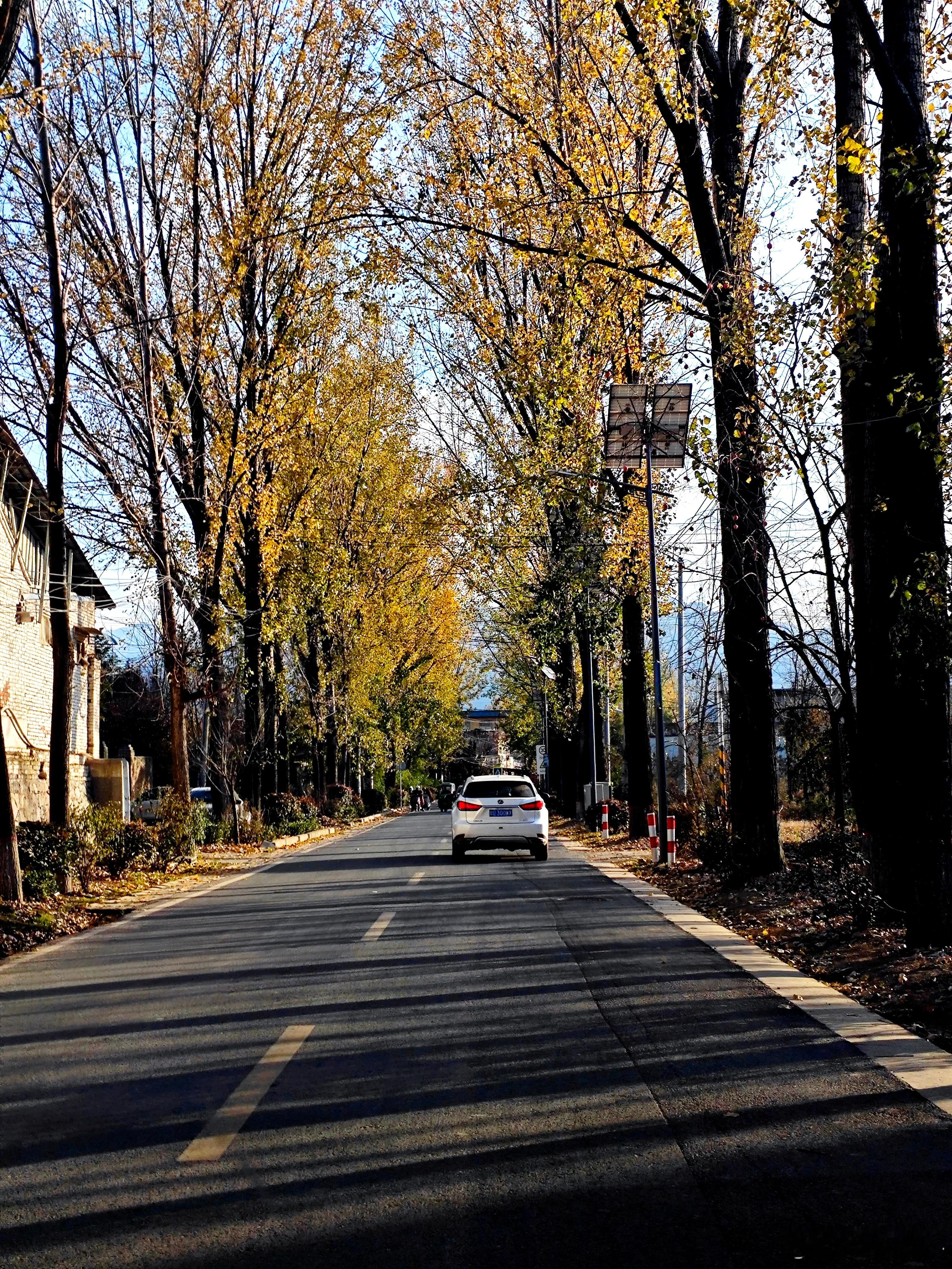 天气好，没想到还能继续踏个秋 