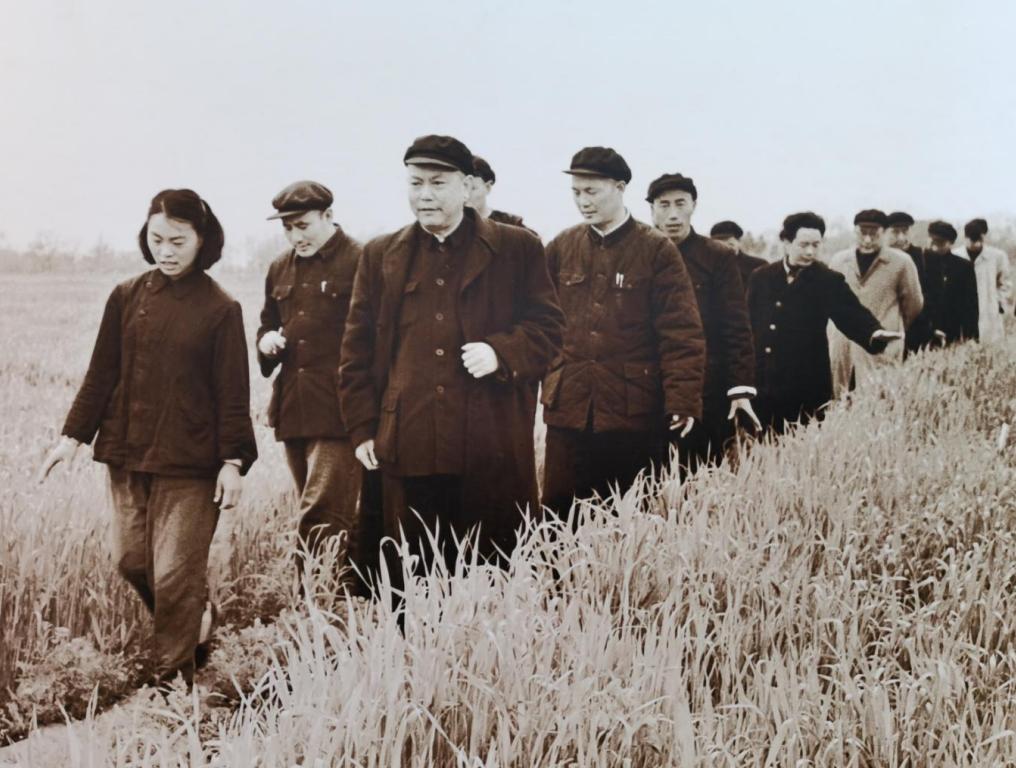1958年，李先念副总理到河南郾城县农村调研，他走到田间地头，仔细查看麦子的生长