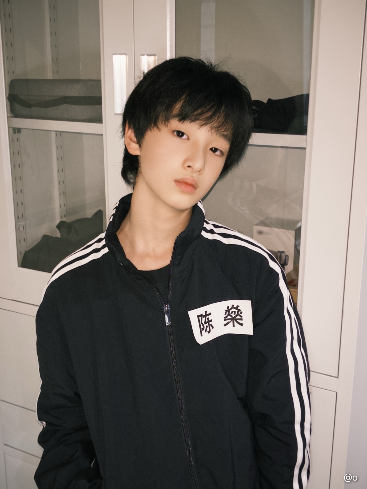 家禽们一鸡一鸭一西瓜