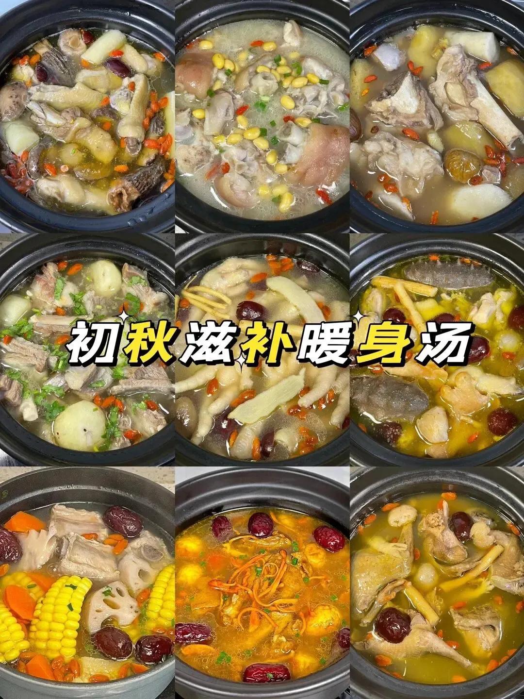 『滋补食谱』入秋后最补气血的十二款养生汤，美味又养颜，适当食用不仅身体变好了，人