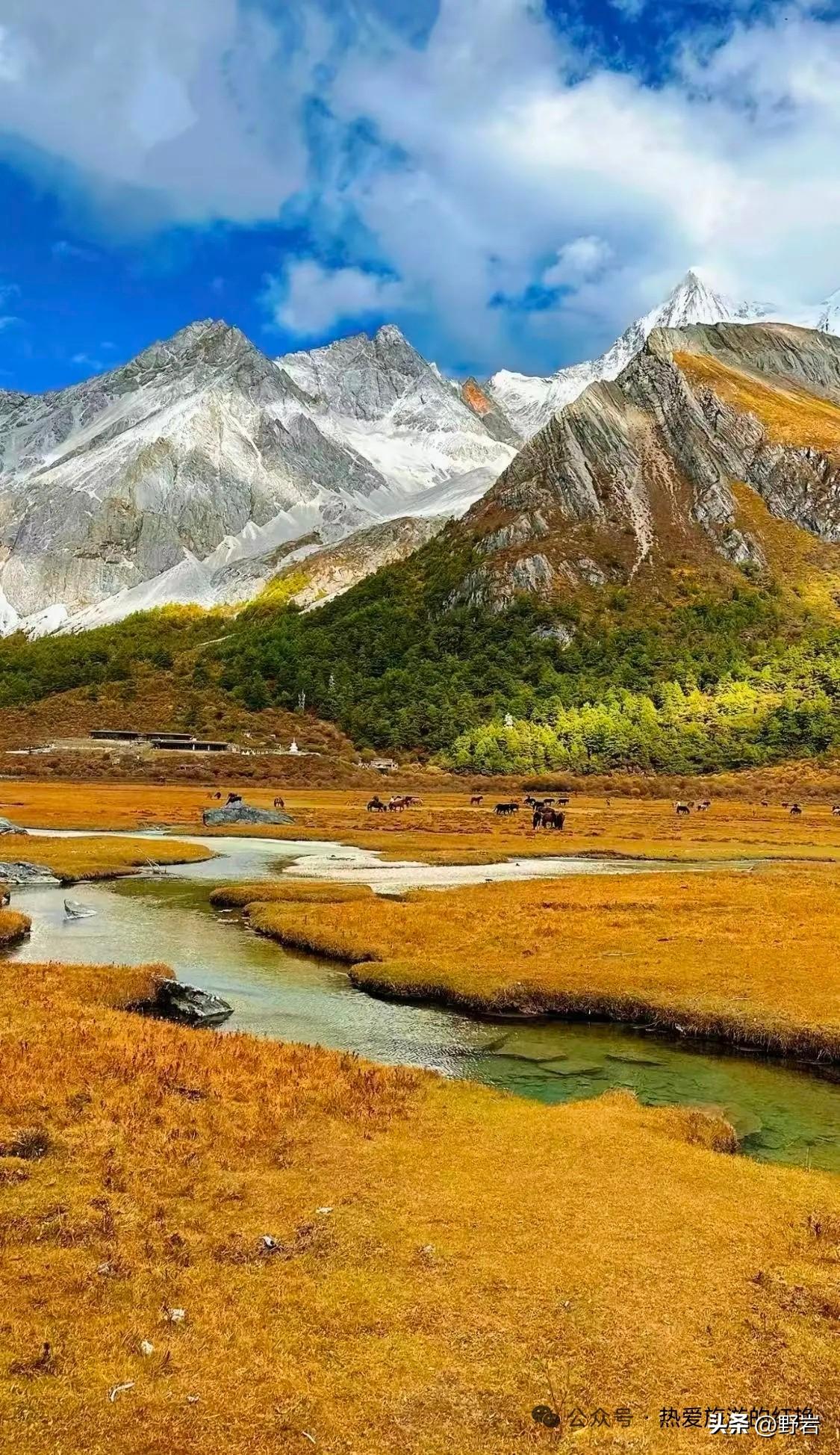 极品男人
 
1，遇事有担当。
2，待人有分寸。
3，独处能自律。
4，人前有格
