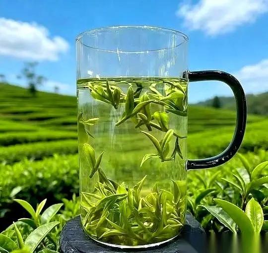 安吉白茶跌下“神坛”？最近，网上看到不少关于安吉白茶价格崩盘的新闻。其实，不光是