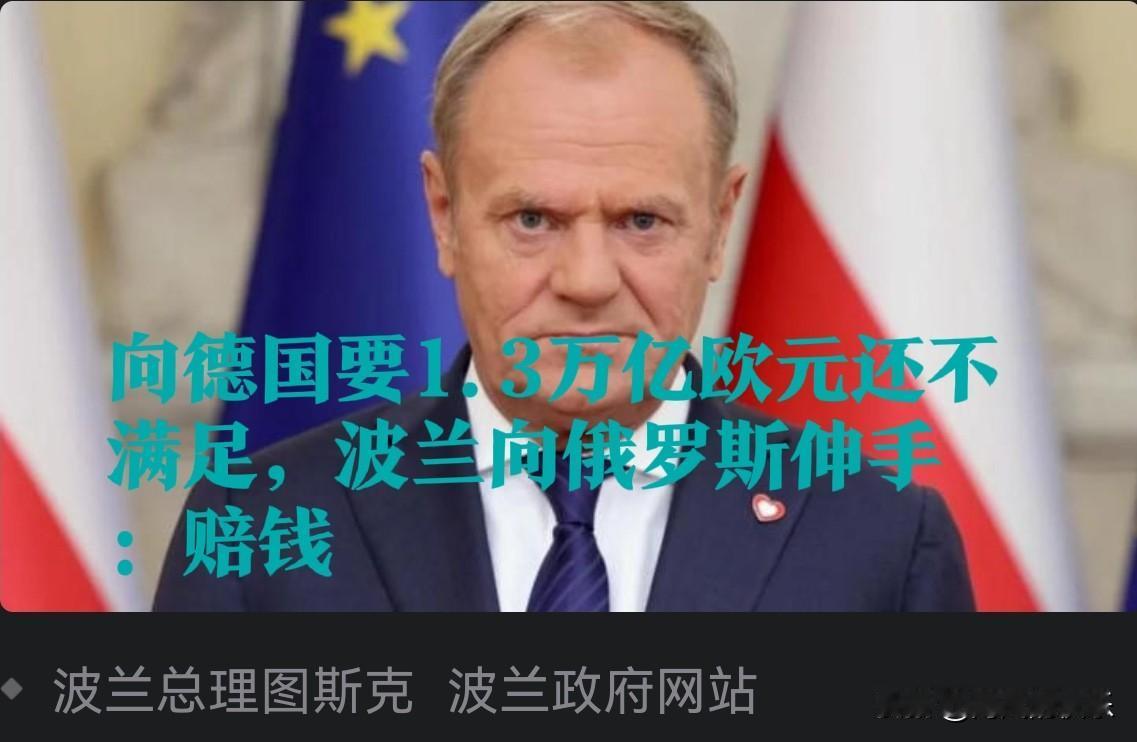 波兰启动对俄索赔调查，历史清算转向“东方战线”

   据外媒报道华沙，2026