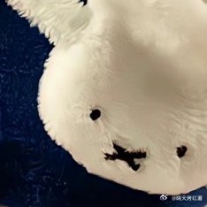 💜我寄你的信，总要送往邮局，不喜欢放在街边的绿色邮筒中，我总疑心那里会慢一点壁