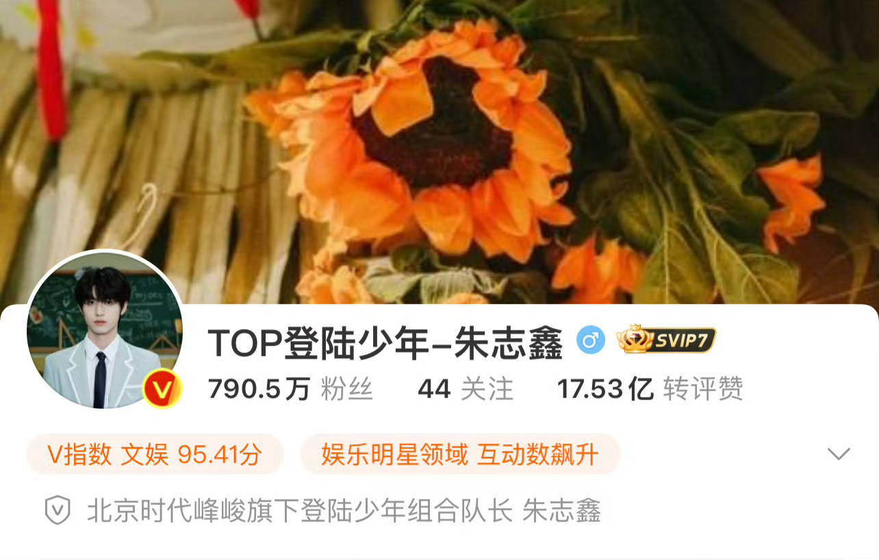 朱志鑫认证登陆少年组合队长，张泽禹、张极、左航、苏新皓认证登陆少年组合成员 ​​