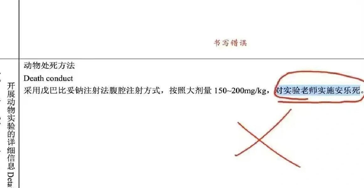 老师和老鼠傻傻分不清楚哈哈哈哈哈哈哈哈哈哈哈哈哈哈哈哈下辈子注意点 ​​​