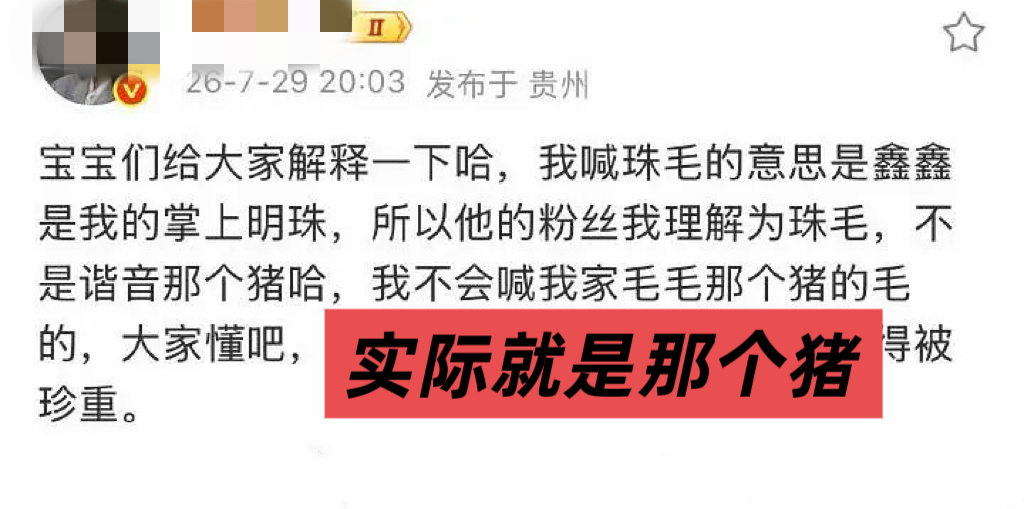 实际就是这个𓃟 