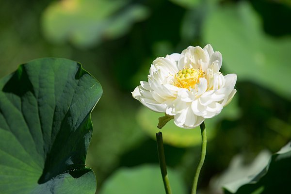 “接近结束。”--麦凯格你可知道，还有种种残酷对待我的方法你还没有试过？你厌倦了