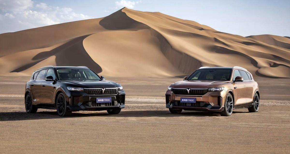 凭借超强的驾控水准、出色的实用性等诸多优点，岚图FREE在市场上赚足了口碑。而近