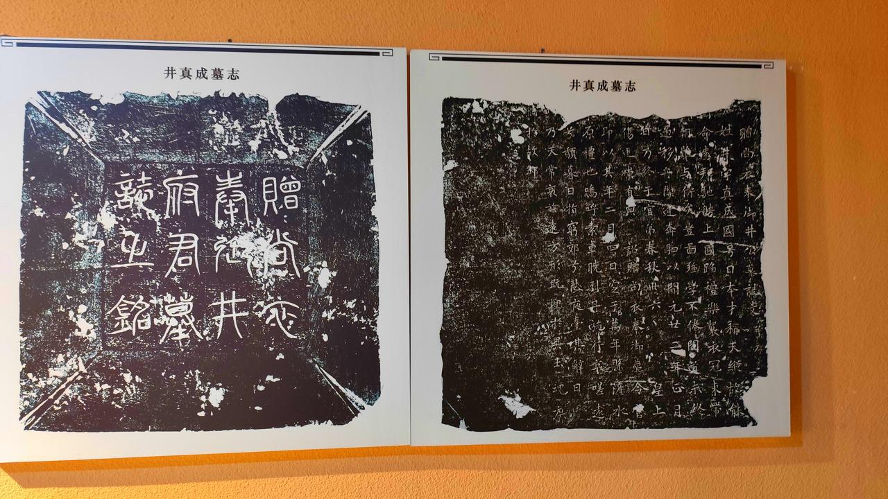 【西北大学博物馆镇馆之宝002】在西北大学博物馆三楼，有一方墓志，体积不大，却被