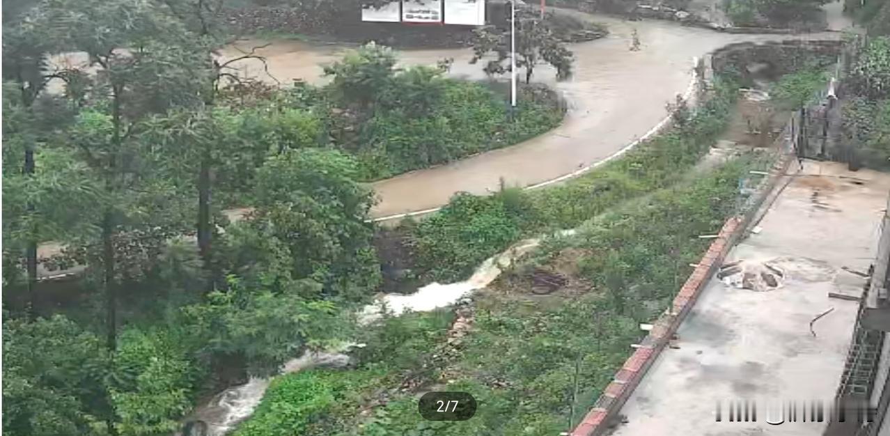 高纪明(山东)
回乡偶得
山自高来水自长，一条石径步来量。
前行不问回头路，明月