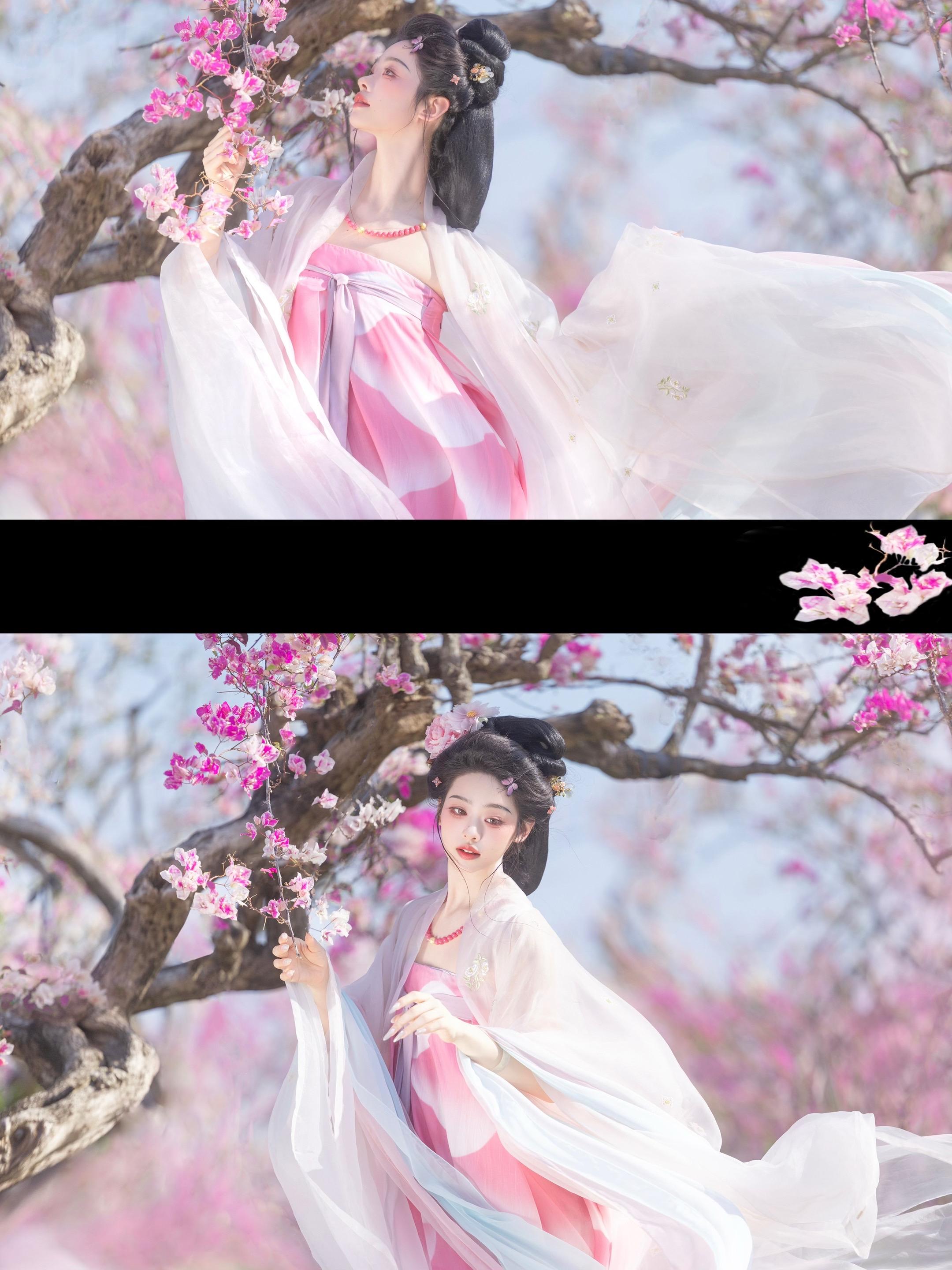 ‘ 清风恰自来 ’粉色三角梅拍了好多唐， 粉色真的很春天