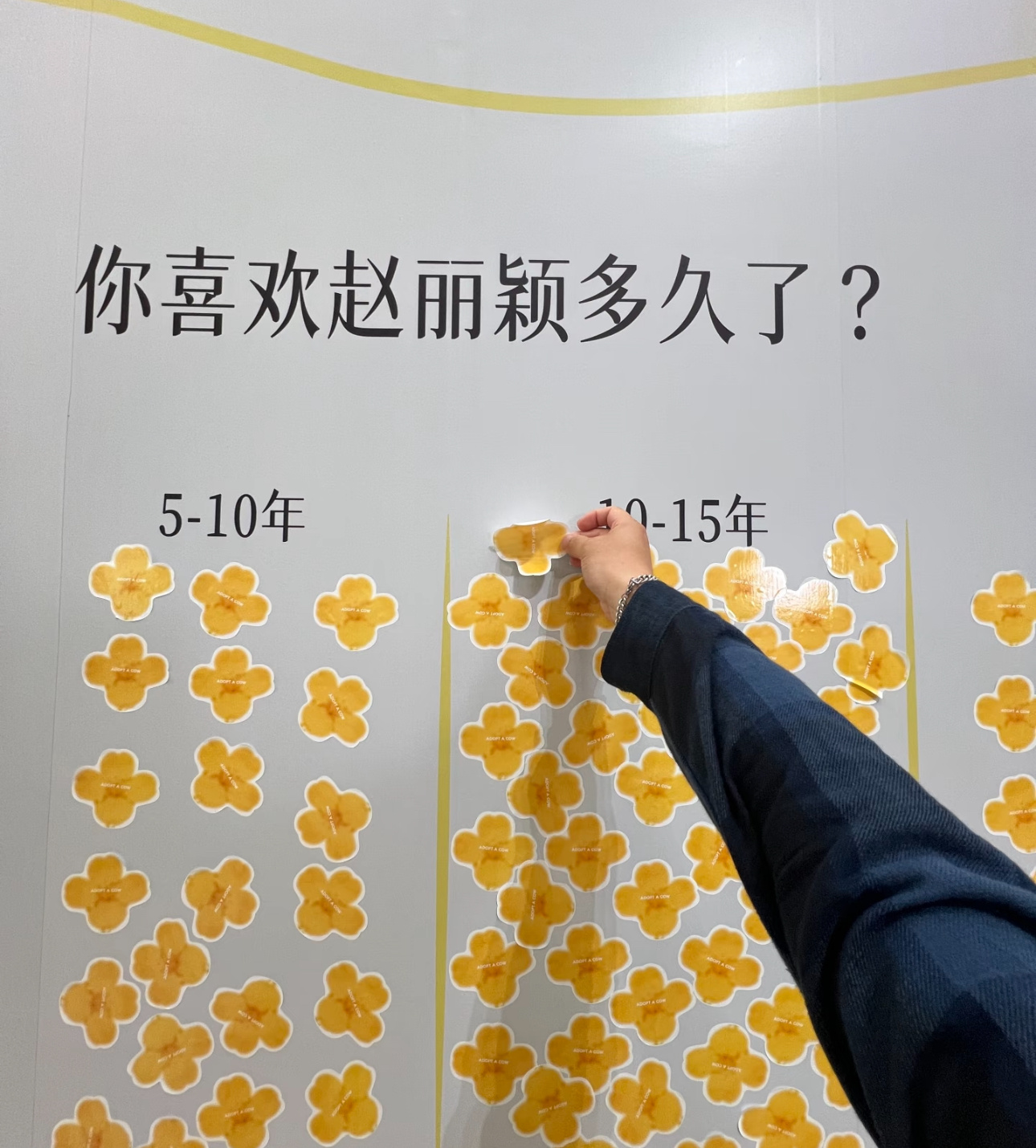 赵丽颖认养一头牛黑土地展 早就刷到超多网友分享的绝美线下门店和城市大屏，趁着闲暇