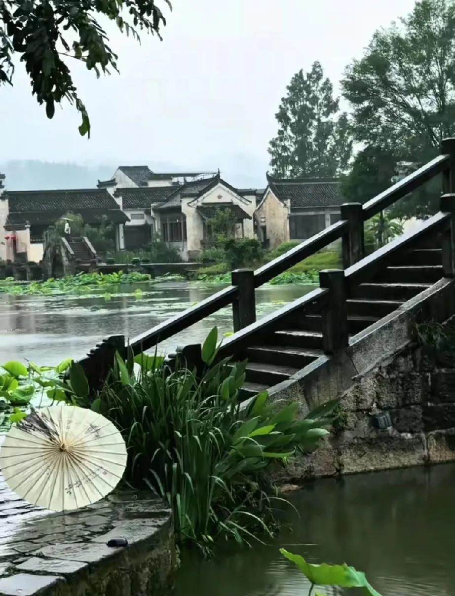 烟雨江南一起开风景 风景已久 随遇风景