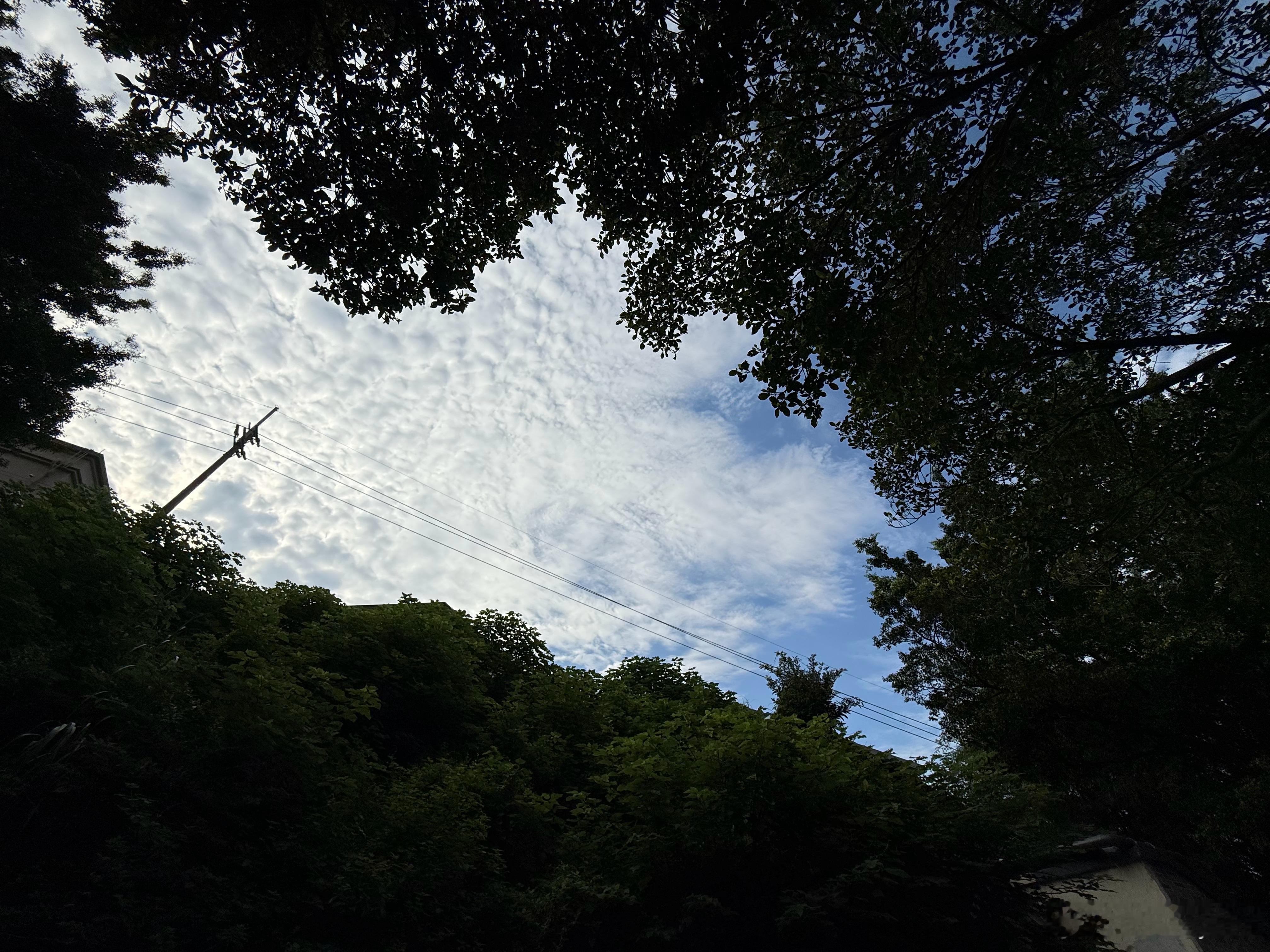 广州久违的蓝天（估计撑不过 10 点），可怕