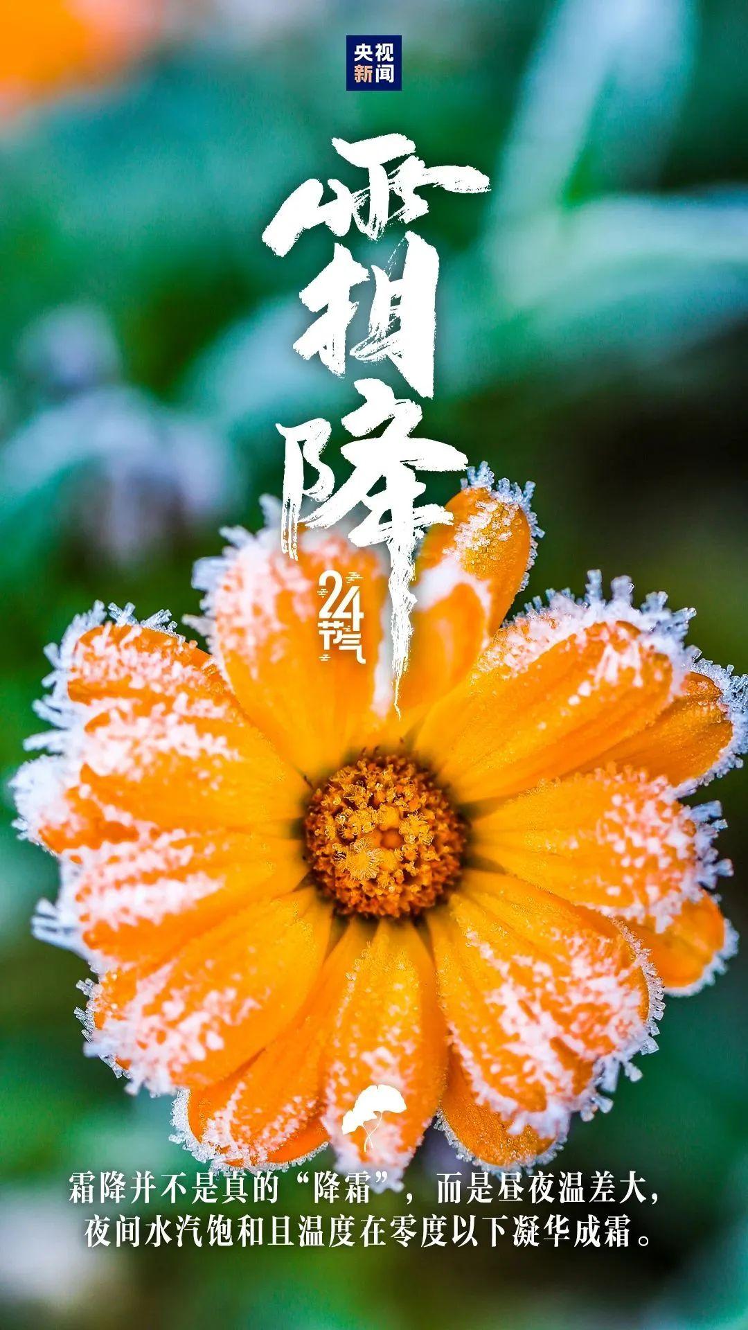 《黄帝内经》霜降养生核心是什么？
 
一、生活起居：早睡晚起，护阳防燥
 
- 