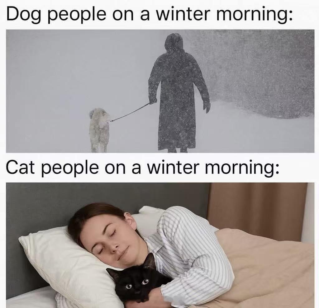 雪后大范围回暖来了回暖就好，养狗人狂喜 