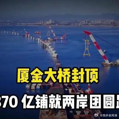 《美国坐不住了！厦金大桥主塔封顶：这不是修桥，是在为统一铺路！全球纵横谈》播放量