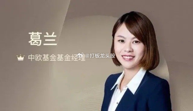 基金经理葛兰卸任了，10年亏了234亿。我以前就很纳闷，动不动银行就有工作人员给