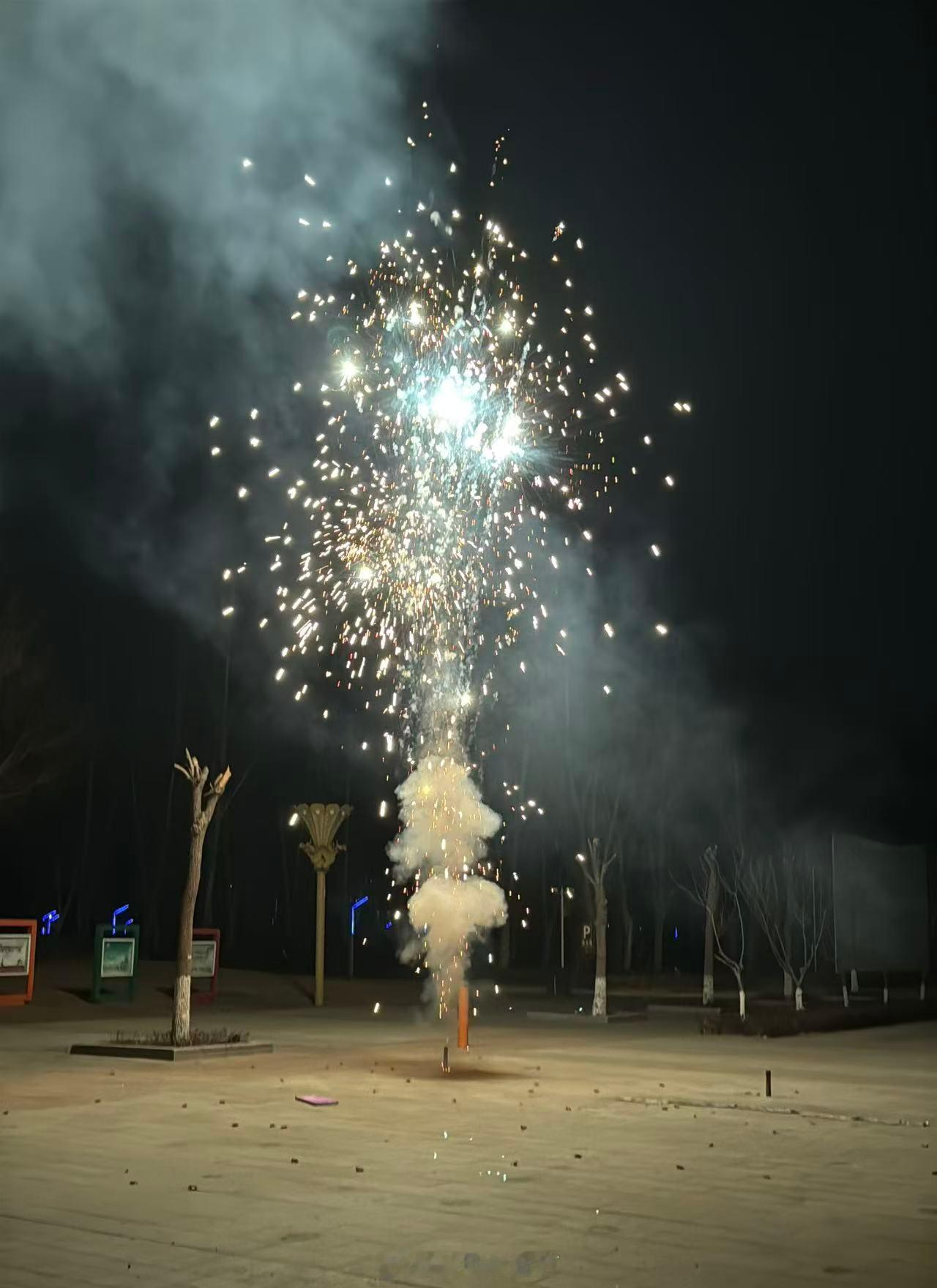 新年快乐心之所向，行必能至！ 淄博