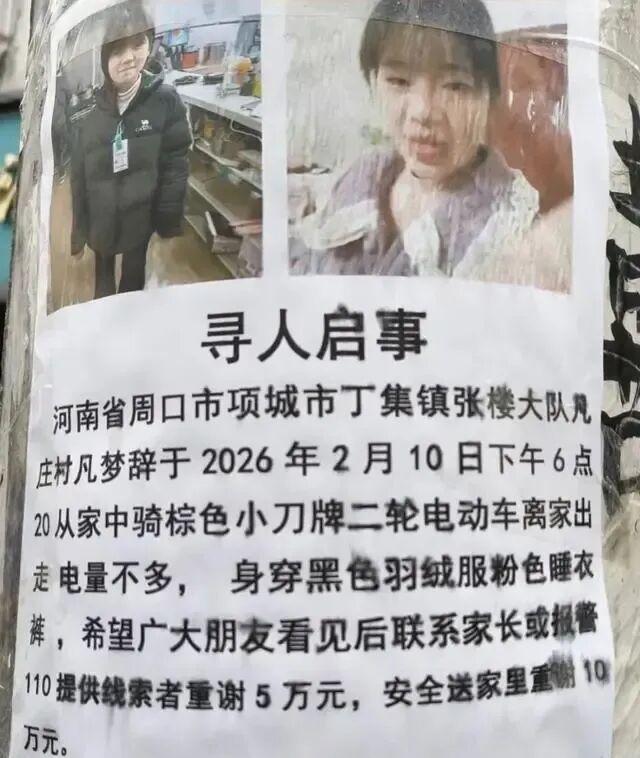 河南项城百万悬赏寻女背后：一场争吵引发的全民揪心，电动车成关键线索，母亲含泪呼唤