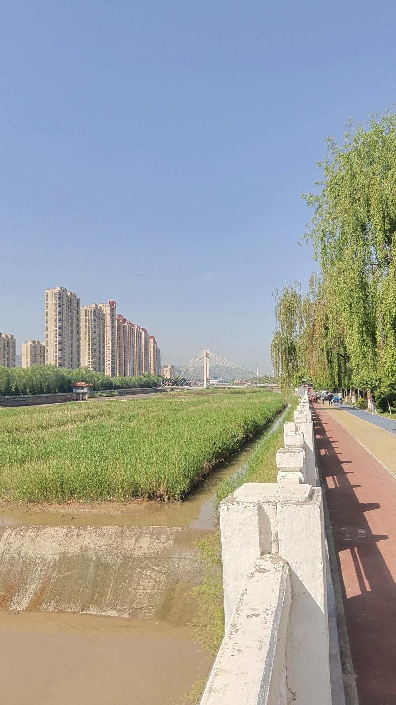 碧水绕城流，绿树映楼台。这样的美景宛如一幅绝美的画卷，徐徐展开在眼前。沿着蜿蜒的