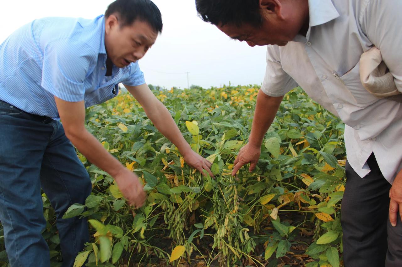 赚钱尽孝养家
《钱的重要性》
国家有钱，别国不敢放炮。
家里有钱，别人不敢取笑。