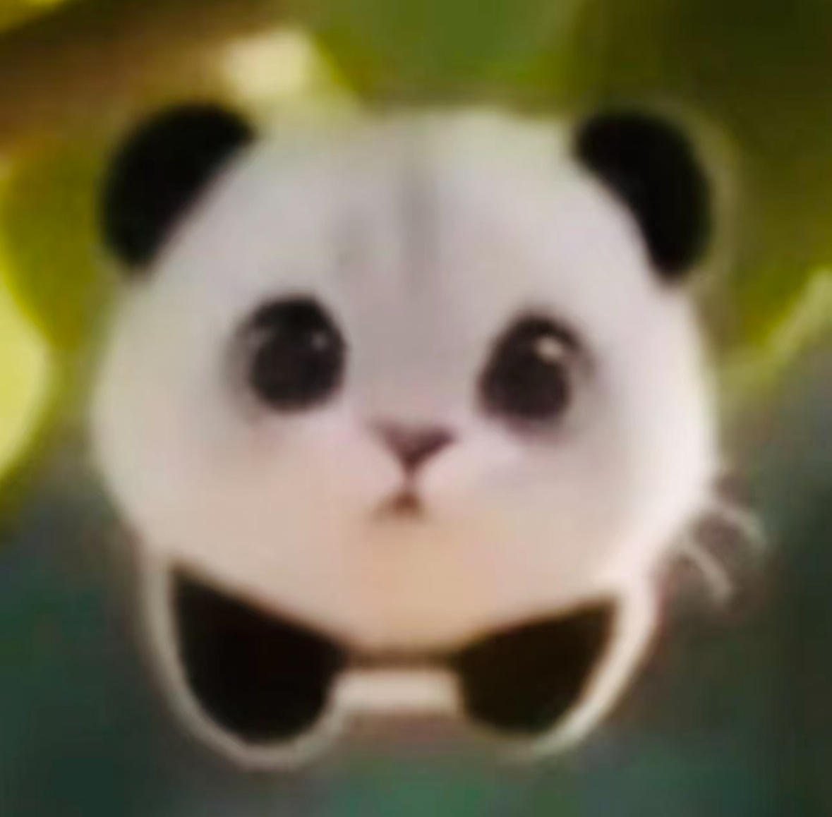 分享图片 