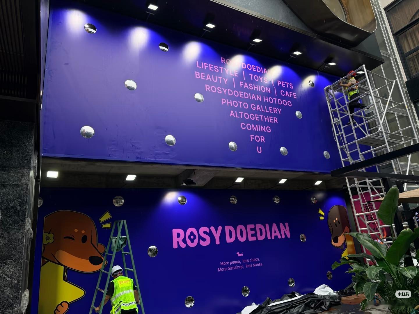 这个RDD实体店，什么都有 
