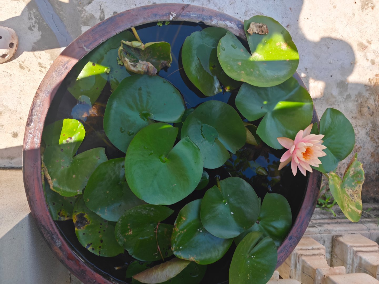 碰到爱人，才知道爱的模样！早安！ 重庆·重庆中央公园